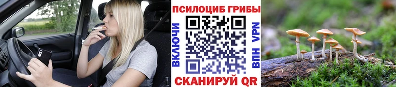 Псилоцибиновые грибы Psilocybine cubensis  Набережные Челны 
